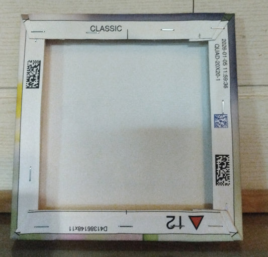 Papillon 1 - Photo sur toile format 20cm/20cm